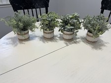Small farmhouse plant for sale  Portland