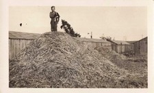 Vtg photo cute for sale  Lynden