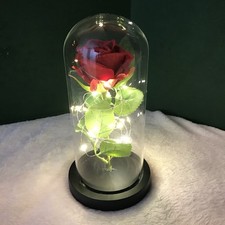 Eternal preserved rose for sale  Winter Park