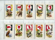 Boy scout girl for sale  SWINDON