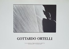 Gottardo ortelli manifesto usato  Conegliano