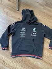 Petronas mercedes amg gebraucht kaufen Petronas mercedes amg gebraucht kaufen  Mühlheim an der Donau