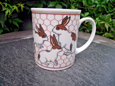 dutch rabbits for sale  BIRMINGHAM