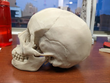 Stampa 3D usato  Roncade