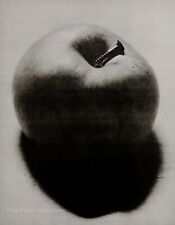 1931/75 MAN RAY Vintage Tornillo Manzana Naturaleza muerta Estudio Foto Grabado Arte 12x16 segunda mano  Embacar hacia Argentina