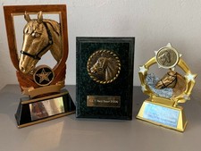Job lot horse for sale  PETERBOROUGH