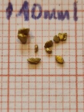 Echte schöne goldnuggets gebraucht kaufen  Kolbermoor