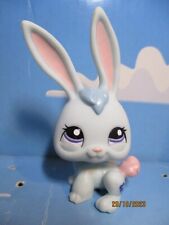 Petshop lapin 1685 d'occasion  Bailleul