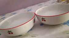 Coppia ciotole vintage usato  Dozza