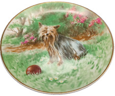 Yorkshire terrier collector for sale  LEEDS