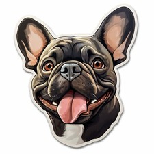 French bulldog laughing for sale  Norwalk