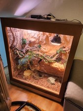Selbstbau terrarium 130cm gebraucht kaufen  Delmenhorst