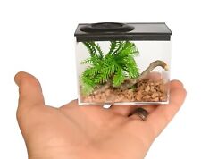 Insect rearing boxes for sale  LOWESTOFT