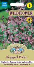 Ragged robin seeds for sale  NEWMARKET