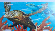 Turtle marine life for sale  Savannah