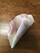 Sea shell wall for sale  Chesapeake