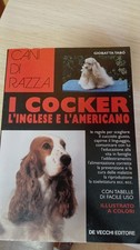 Cocker inglese americano. usato  Civitella in Val di Chiana