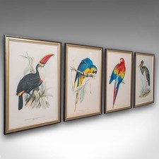 Antique exotic bird for sale  EXETER