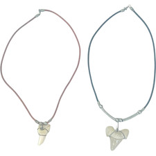 Shark tooth necklace for sale  Goleta