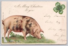 1903 lucky pig for sale  MANCHESTER