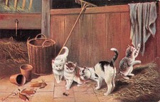 Antique postcard kittens for sale  Columbus