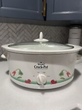 Rival crock pot for sale  Wharton