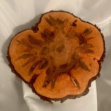 Ambrosia maple centerpiece for sale  Bangor