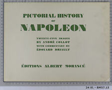 Pictorial history napoleon usato  Torino