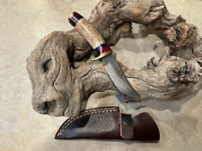 Sweet mini stag for sale  Anchorage
