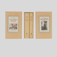 Raso guida letteraria usato Raso guida letteraria usato  Napoli