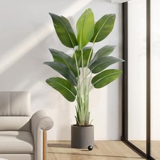 Artificial bird paradise for sale  SALFORD