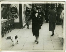 Photo photographie 1930 d'occasion  Avignon