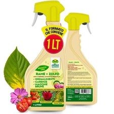 Rame zolfo spray usato  Tramutola