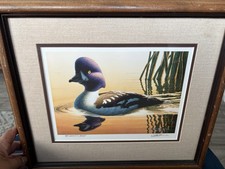 1994 waterfowl duck for sale  Arbuckle