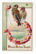 Oiseaux chardonnerets cpa d'occasion  Neufchâteau