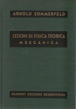 Lezioni fisica teorica usato  Italia