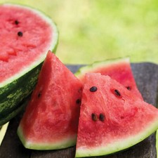Watermelon seeds collection for sale  Deltona