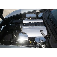 Style fuel rail for sale  Hudson