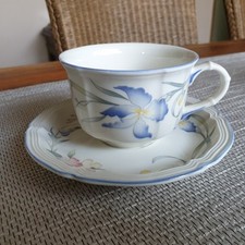 Riviera teetasse 2tlg gebraucht kaufen  Überherrn