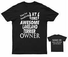 Awesome lakeland terrier for sale  BRISTOL