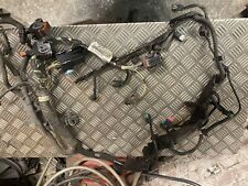 Faisceau électrique moteur d'occasion  Gournay-en-Bray