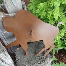 coat hanger buffalo for sale coat hanger buffalo for sale Twin Falls