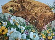 Bev doolittle art for sale  Estancia