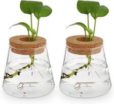 2pcs plant propagation for sale  Brooklyn
