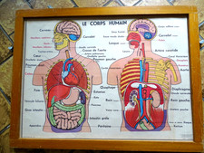 Ancienne affiche scolaire d'occasion  Ossun
