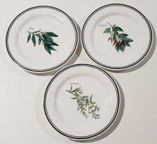 Williams sonoma herbs for sale  Lodi