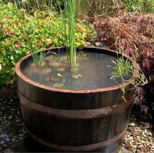 Extra large oak for sale  LISS