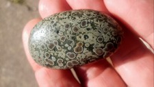 Superb variolite natural d'occasion  Expédié en Belgium