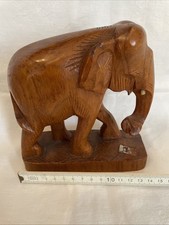 elefanten gebraucht kaufen elefanten gebraucht kaufen Groß-Gerau