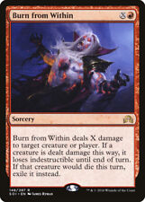 Burn from within d'occasion  Montalieu-Vercieu